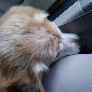 Meet your Posher, Aidan